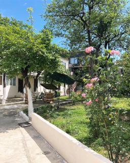 Batumi Summer Hotel - 0