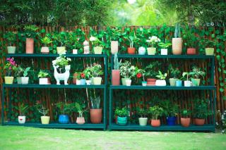 The Cliff Resort & Residences - 2