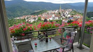 Am Keschtewaeldele **** - Forbach - 1