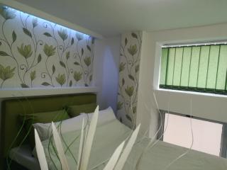 Classy and Cozy - PARKING - 3 beds - Near Center - Novi Sad - 8