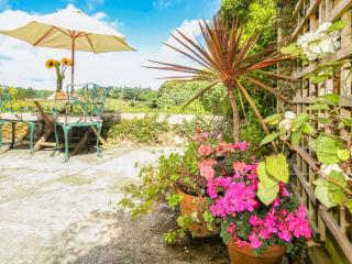 Maes y Cregyn - Llanallgo - 9