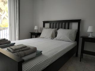 Athani Summer House (Apartments 01 - 02) - Athani - 1