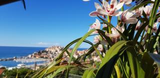 AdeleBeppe "The SeaView" - Imperia - 9