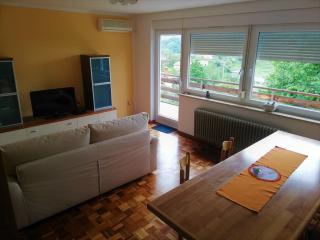 Apartma BAJČI - Ajdovščina - 7