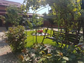 Mill House - Cluj-Napoca - 9
