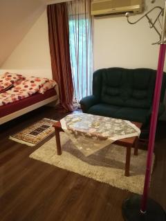 Vila Kraljica Vrdnik - 5