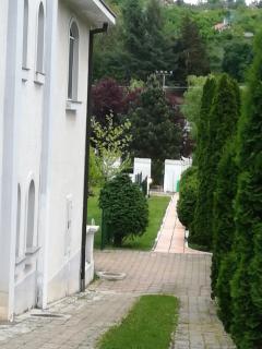 Vila Kraljica Vrdnik - Vrdnik - 8