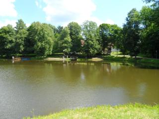 Senieji Bačkonys - 8