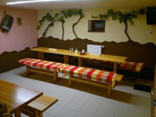 Penzion Vinařský dvorek - Velké Němčice - 2