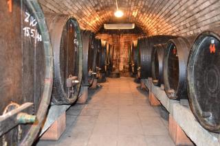 Penzion Vinařský dvorek - Velké Němčice - 5