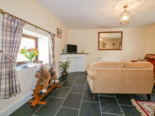 Camellia Cottage - Bodmin - 6