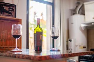 Beautiful quiet apartment near A. Villanueva St - Mendoza - 6