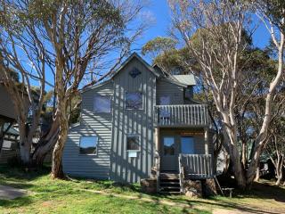 snowy river - Dinner Plain - 7