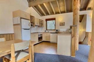 snowy river - Dinner Plain - 4
