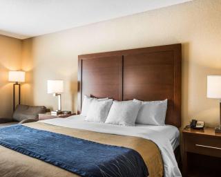 Comfort Inn & Suites Blue Ridge - 3