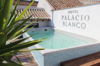Hotel Palacio Blanco - Vélez-Málaga - 8