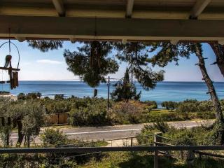 Villa Aliki - Nea Skioni - 9