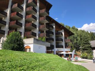 Catrina Hotel - Disentis - 8