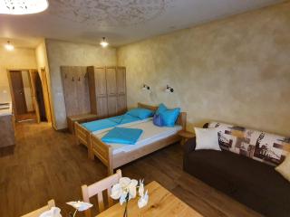 Apartmaji Bršca - Begunje na Gorenjskem - 5