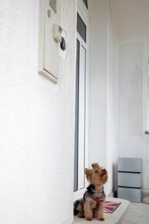 Apartment Vita - 2