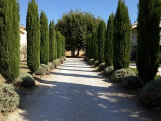 Le Figuier - Tulette - 8