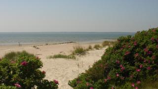 Suite in Nieblum - Martina Christiansen - Nieblum - 2
