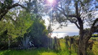 Amazing Sea View Loft, Afytos - Afitos - 2