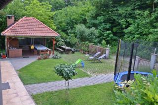 Green Zelina - 6