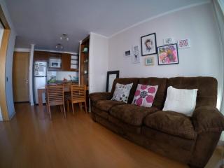Departamento Meseta Coraceros - Viña del Mar - 5