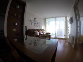 Departamento Meseta Coraceros - Viña del Mar - 4
