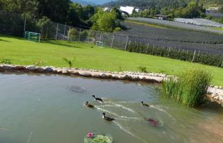 Residence Liesy - Tesimo - 2