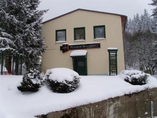 Pension Waldidyll - Stützerbach - 7