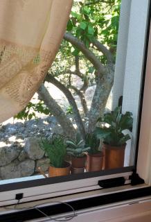 La Casa di Odyssey - Dhavgáta - 4