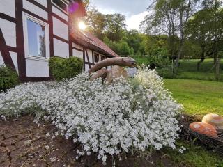 Ferienhof Ehlers - Hülsede - 7