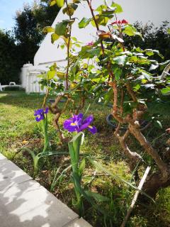 Nature Guesthouse - Lagos - 5