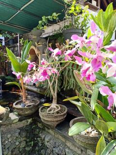 Degeg Ubud Homestay - Ubud - 3
