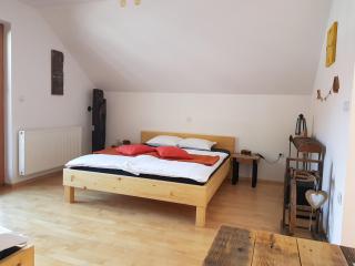 Guesthouse S - Luče - 2