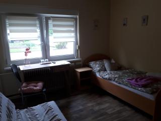 Guest House Tara - Moravske-Toplice - 6