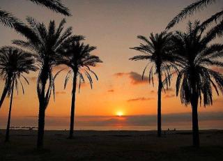 PATACONA MARE NOSTRUM APARTMENT II - Valencia - 7