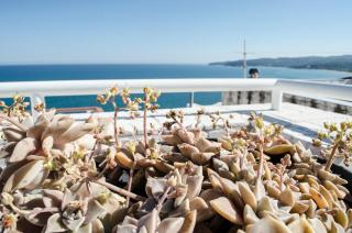 La casa del geko - 9