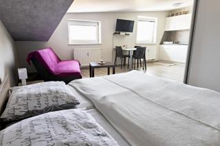 Apartmán Theo - Veľký Slavkov - 7
