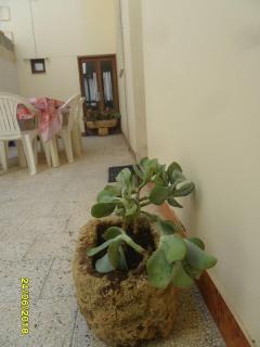 Casa Elisa - Ruffano - 6