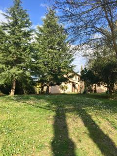 Agriturismo Bethsaid - Fauglia - 0