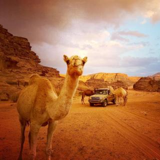 Jordan Tracks Bedouin Camp - Wadi Rum - 1
