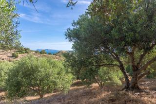 Villa Palma - Sitia - 2