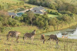 Hakuna Matata Game Farm - Groot Brak Rivier - 9