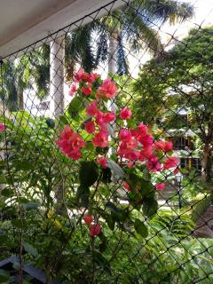 Aconchego quartos - Recife PE - 5