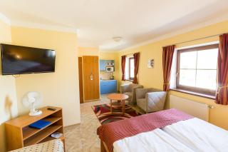Hotel Admiral - Lipno nad Vltavou - 7