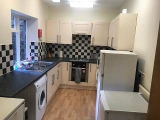 Fantastic central 3 double bedrooms 2 bathrooms garden apartment sleeps 6 - Edimburgo - 8