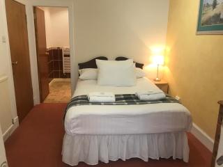 Fantastic central 3 double bedrooms 2 bathrooms garden apartment sleeps 6 - Edimburgo - 7